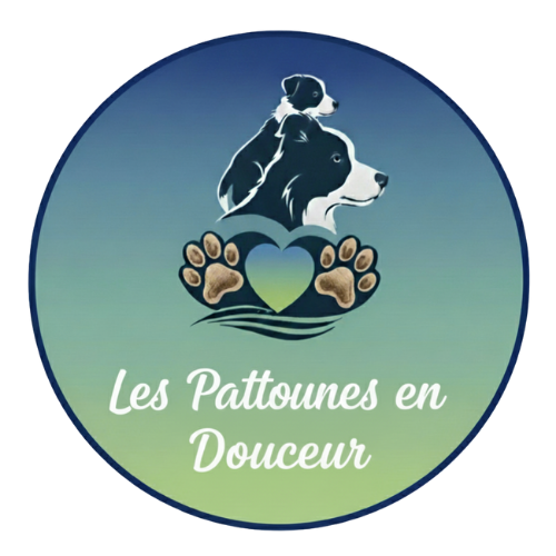 Logo des Pattounes en douceur, Education canine, développement du chiot et du chien de famille à Marcheprime