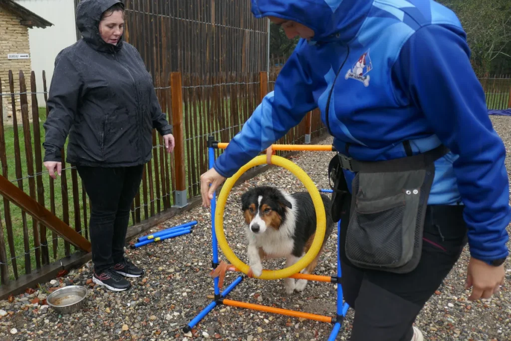 Relation équilibrée entre le chien et son humain