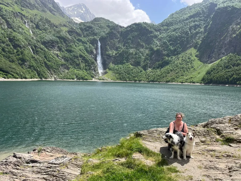 Accompagnement progressif du chien