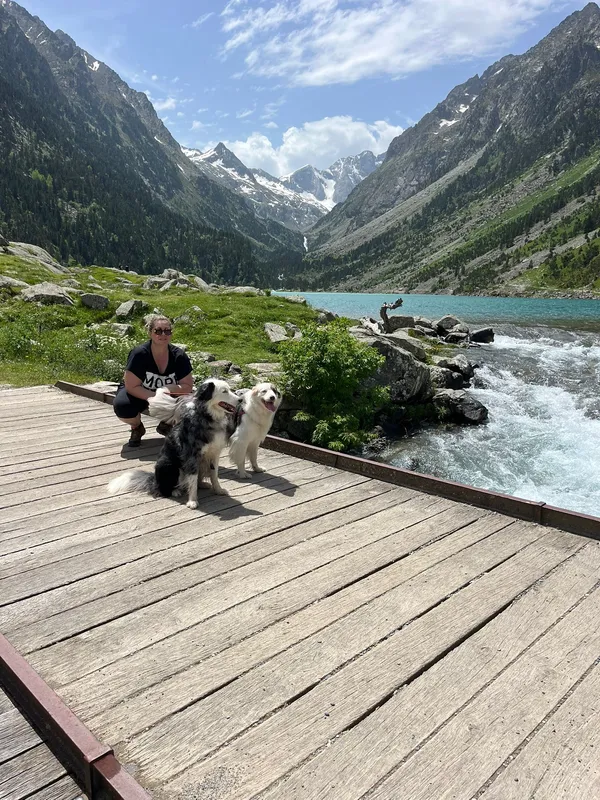 Accompagnement professionnel du chien de famille