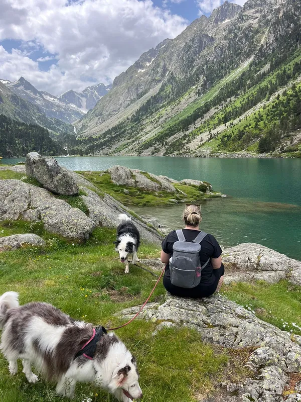 Relation durable avec son chien