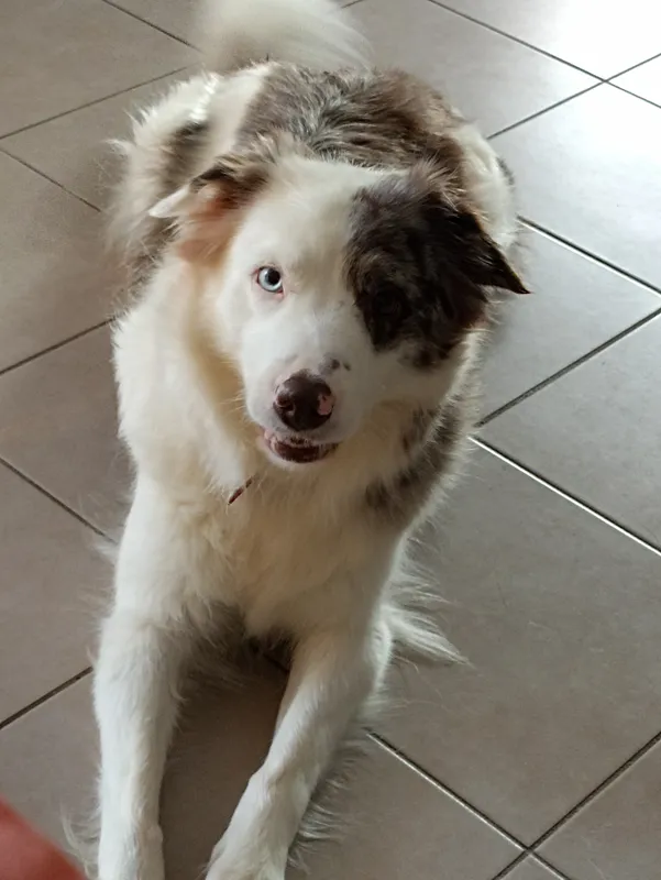 Éducation basée sur la coopération