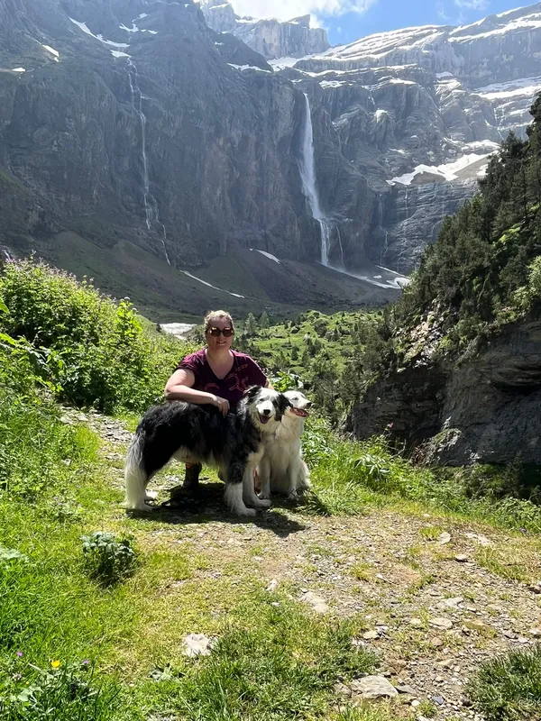 Accompagnement bienveillant du chien