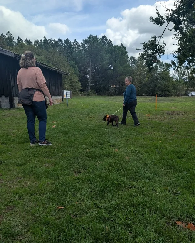 Rééducation canine approche bienveillante